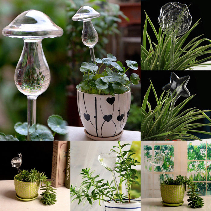 6 Types Glass Plant Flowers Water Automatic Self Watering Devices
