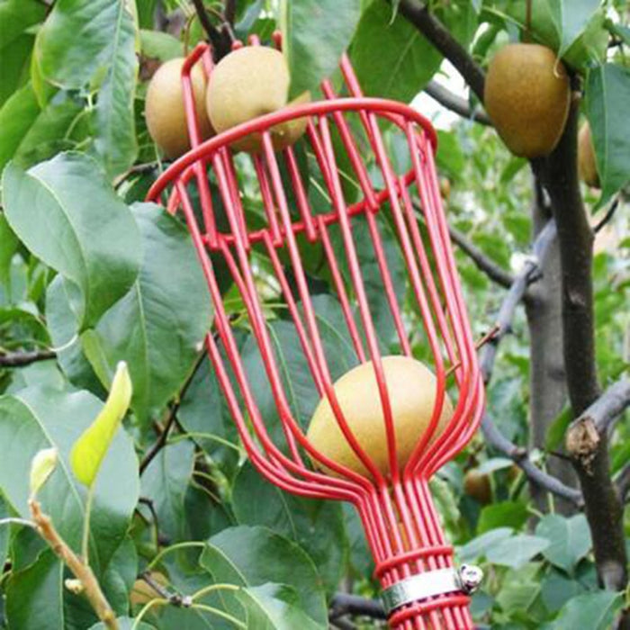 Garden tools, Deep Basket Fruit Picker