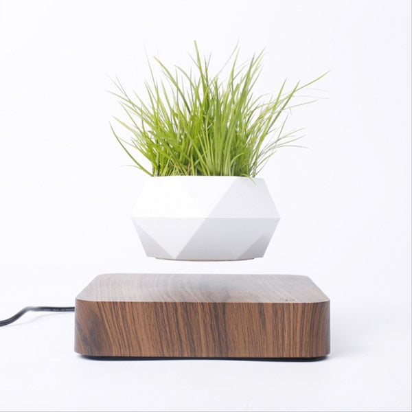 Magnetic suspension flower pot, Levitating Air Bonsai Pot