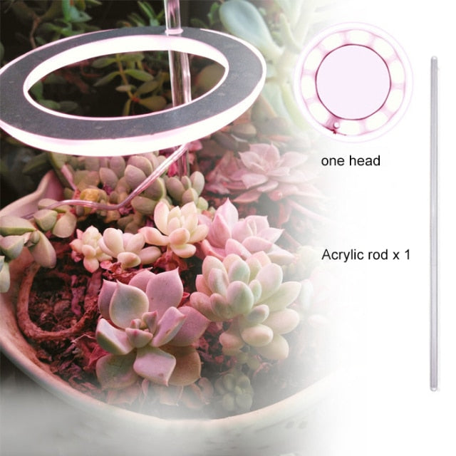 Angel Three Ring Grow Light, USB Phytolamp For Plants, Led Full Spectrum Lamp For Indoor Plant