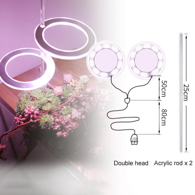 Angel Three Ring Grow Light, USB Phytolamp For Plants, Led Full Spectrum Lamp For Indoor Plant