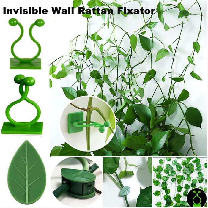 Invisible Wall Rattan Clamp, Plant Climbing Wall